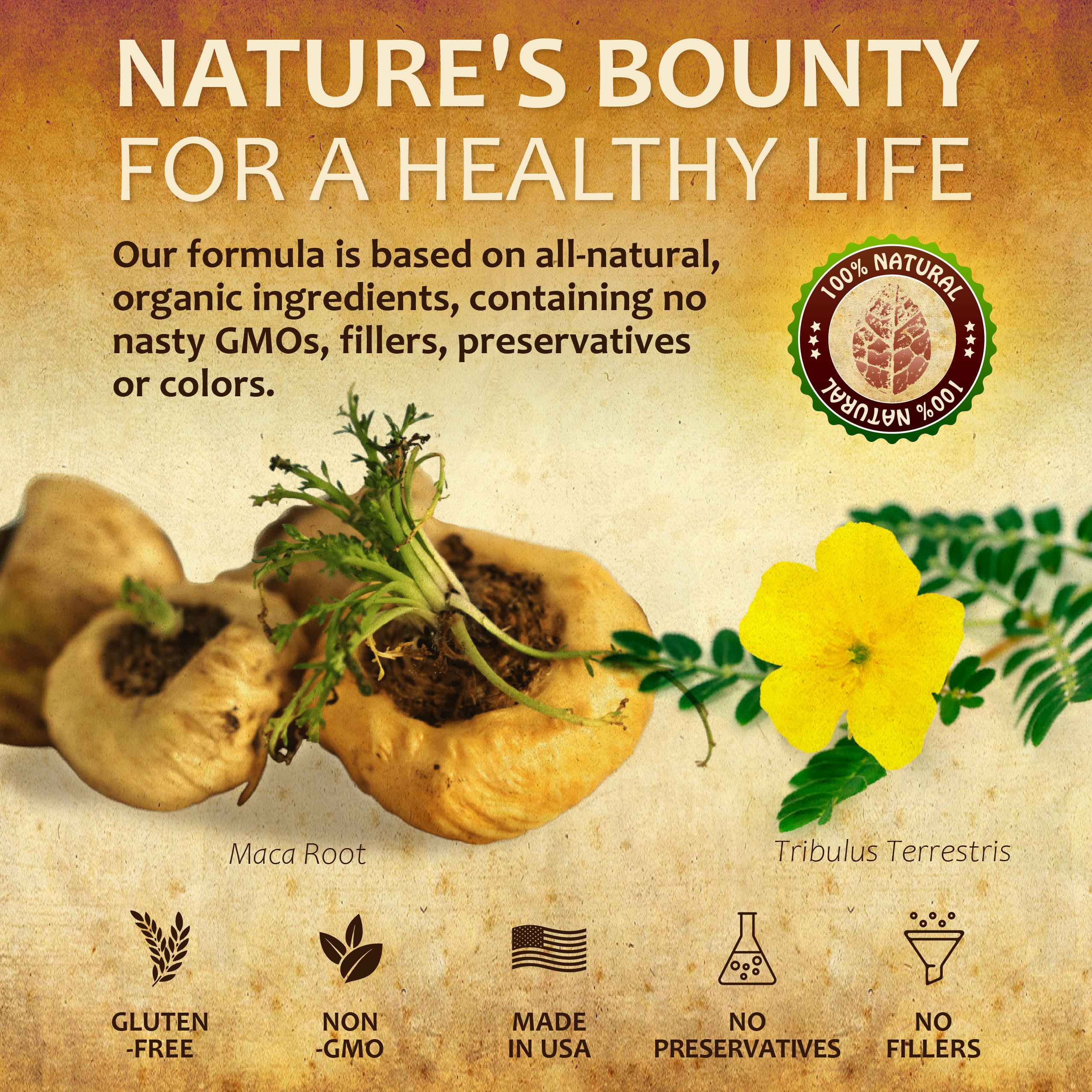 B0B41V6PZC.PT04_6_11zon