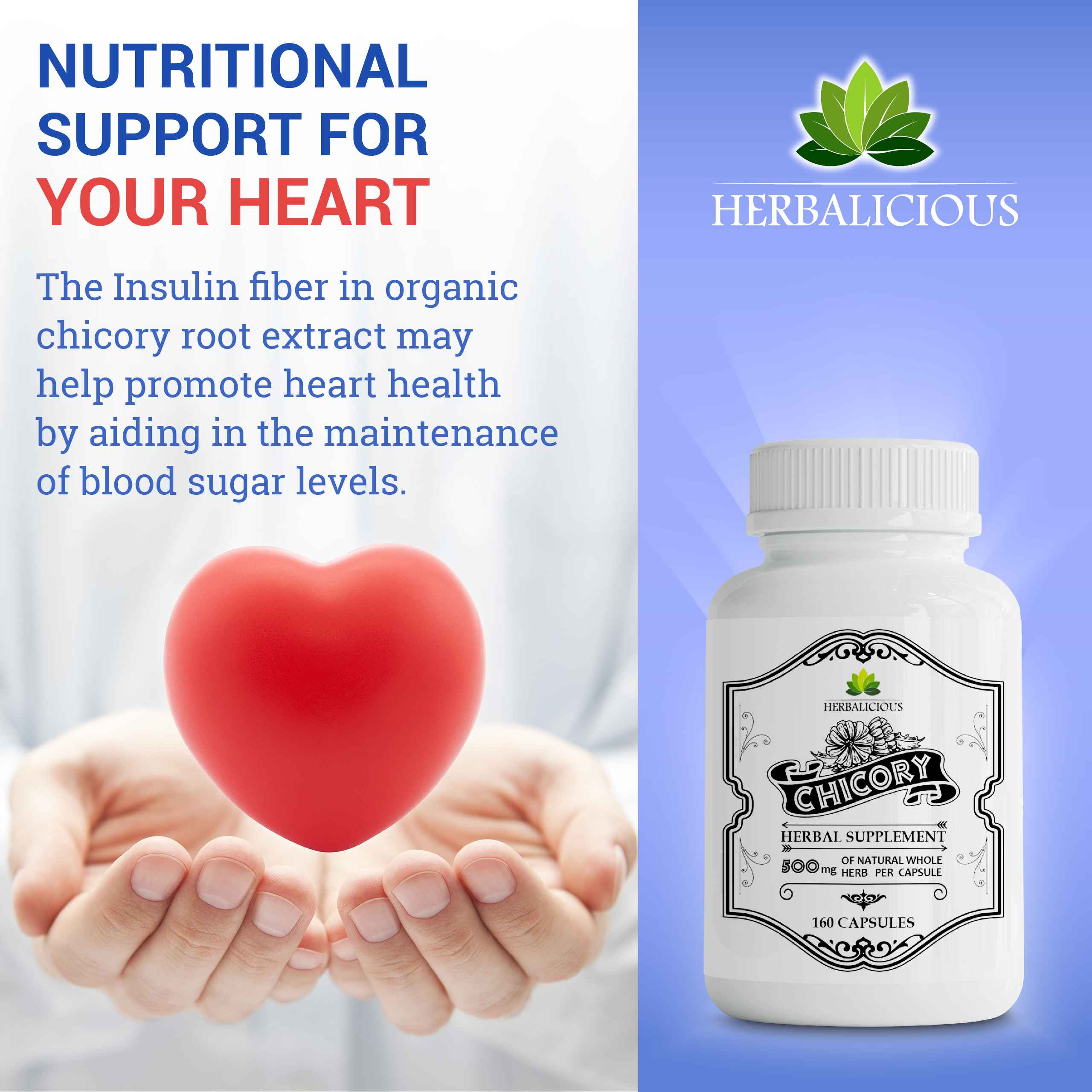 Herb_Chicory_160-caps-02_3_11zon