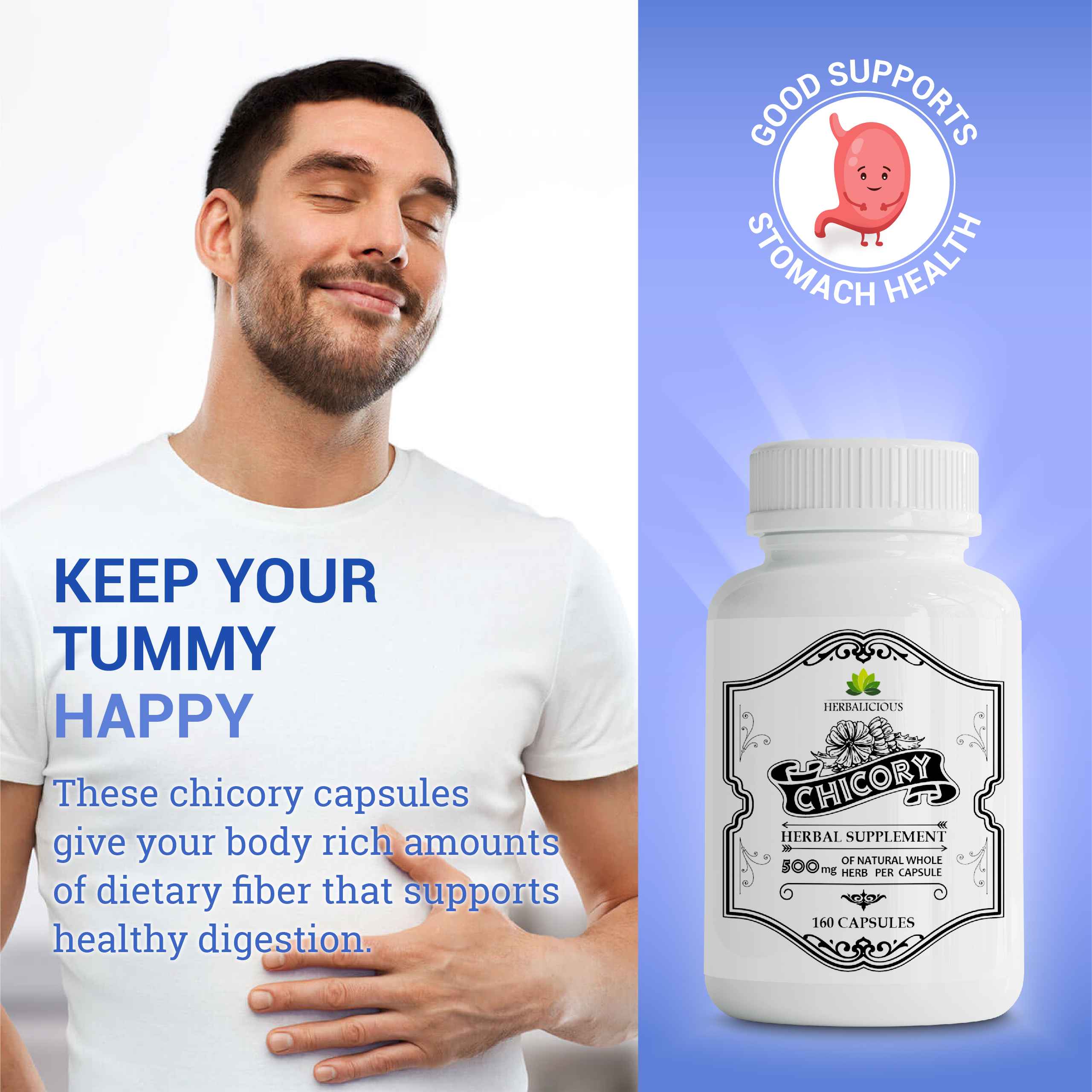 Herb_Chicory_160-caps-03_4_11zon